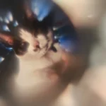 Personalized Heart Photo Necklace For Lover photo review