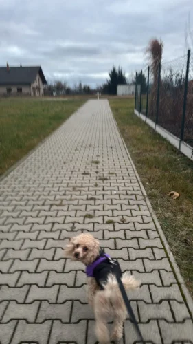 Personalized Heart Photo Necklace For Lover photo review